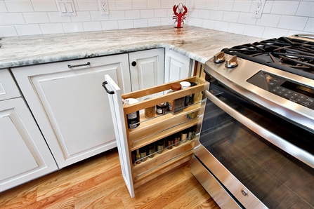 Pullout Spice Organizer