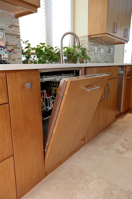 Paneled Dishwasher