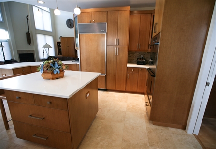 Paneled Refrigerator