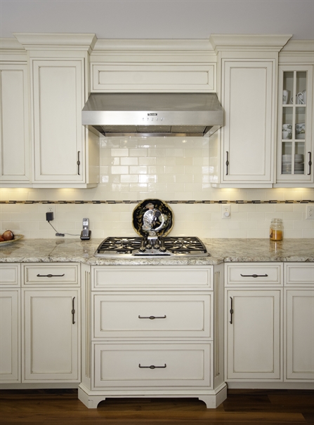 Stainless Canopy Hood